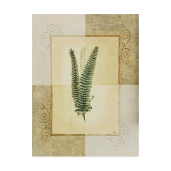 Pablo Esteban 'Fern Leaf Framed 4' Canvas Art, 14x19, Trademark Fine Art, Mfr#: ALI45231-C1419GG